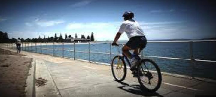 Sunny 2 Bed Restaurants Beach At Door Pets O.K Sydney Exteriör bild